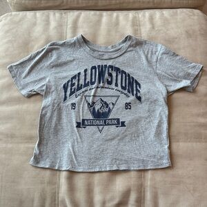 Cropped Rebellious One Gray and Blue Yellowstone T-shirt